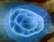 Slider image (10) World Stem Cells